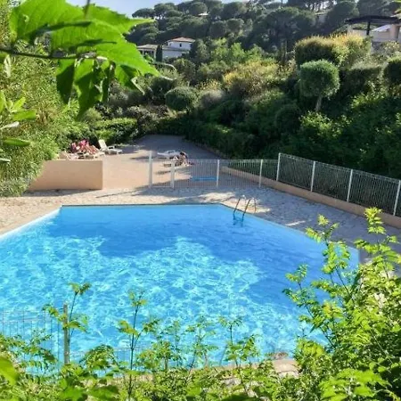 Avec Piscine Et Terrasse Ensoleillee, Acceptant Les Animaux - Fr-1-768-18 Apartment