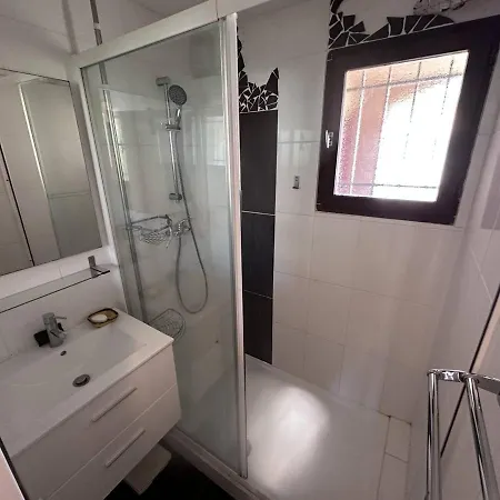 Avec Piscine Et Terrasse Ensoleillee, Acceptant Les Animaux - Fr-1-768-18 Apartment Sainte-Maxime